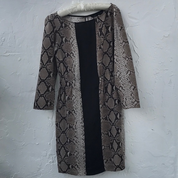💖 5 for $25 💖 ZARA 🐍 Print Dress - Picture 6 of 8